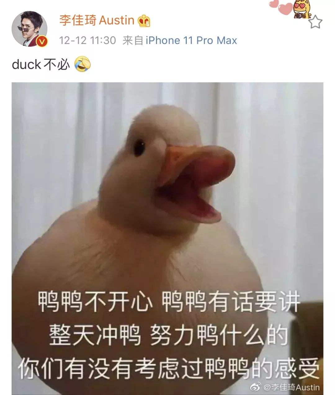 梗百科：duck不必是什么意思？