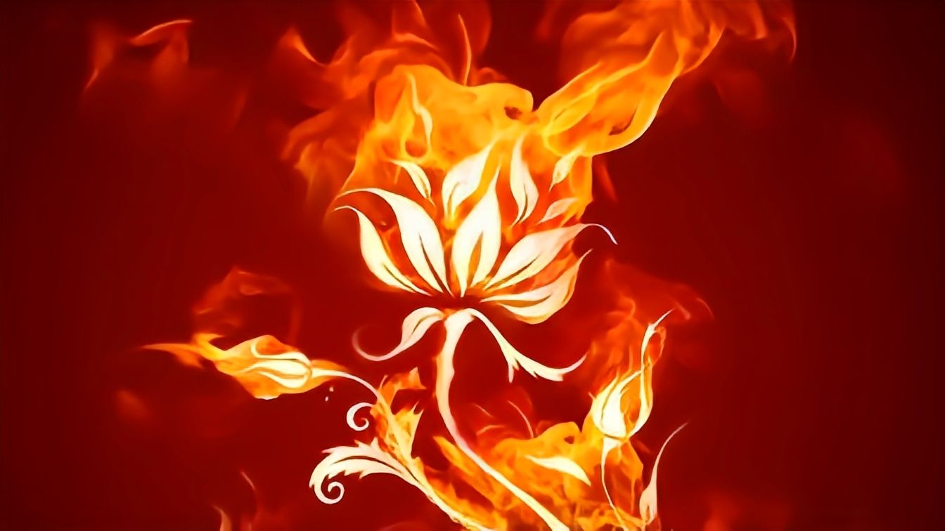 迦南学院底蕴之深，即便是斗圣强者，也得忌惮三分