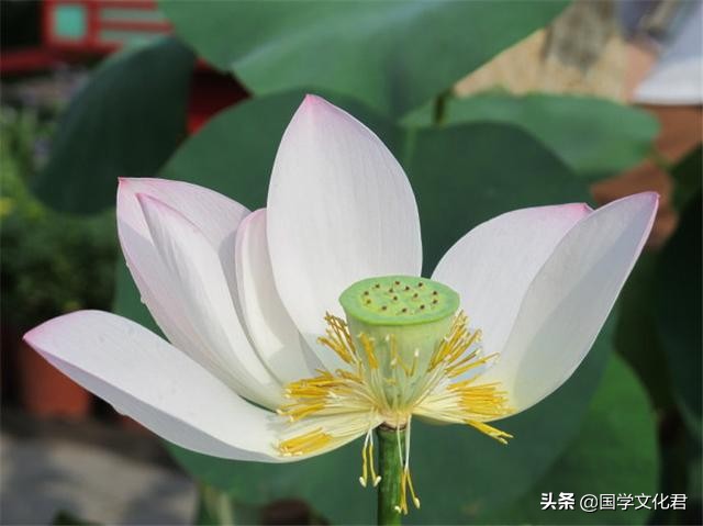 心烦的时候，多读读《道德经》中的这3句话，一切都会好起来