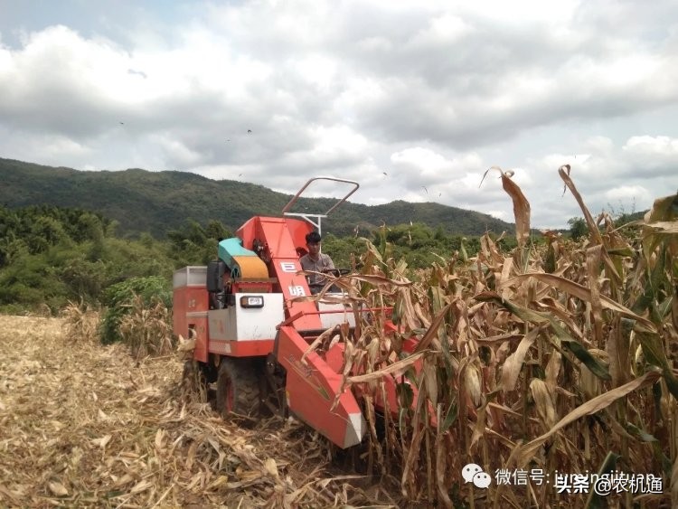 山地玉米收獲機風(fēng)頭正盛，山地戰(zhàn)神、山地霸王、山地勇士你選哪個