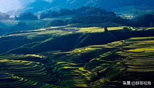 贵州建有大学的12个县或县级市