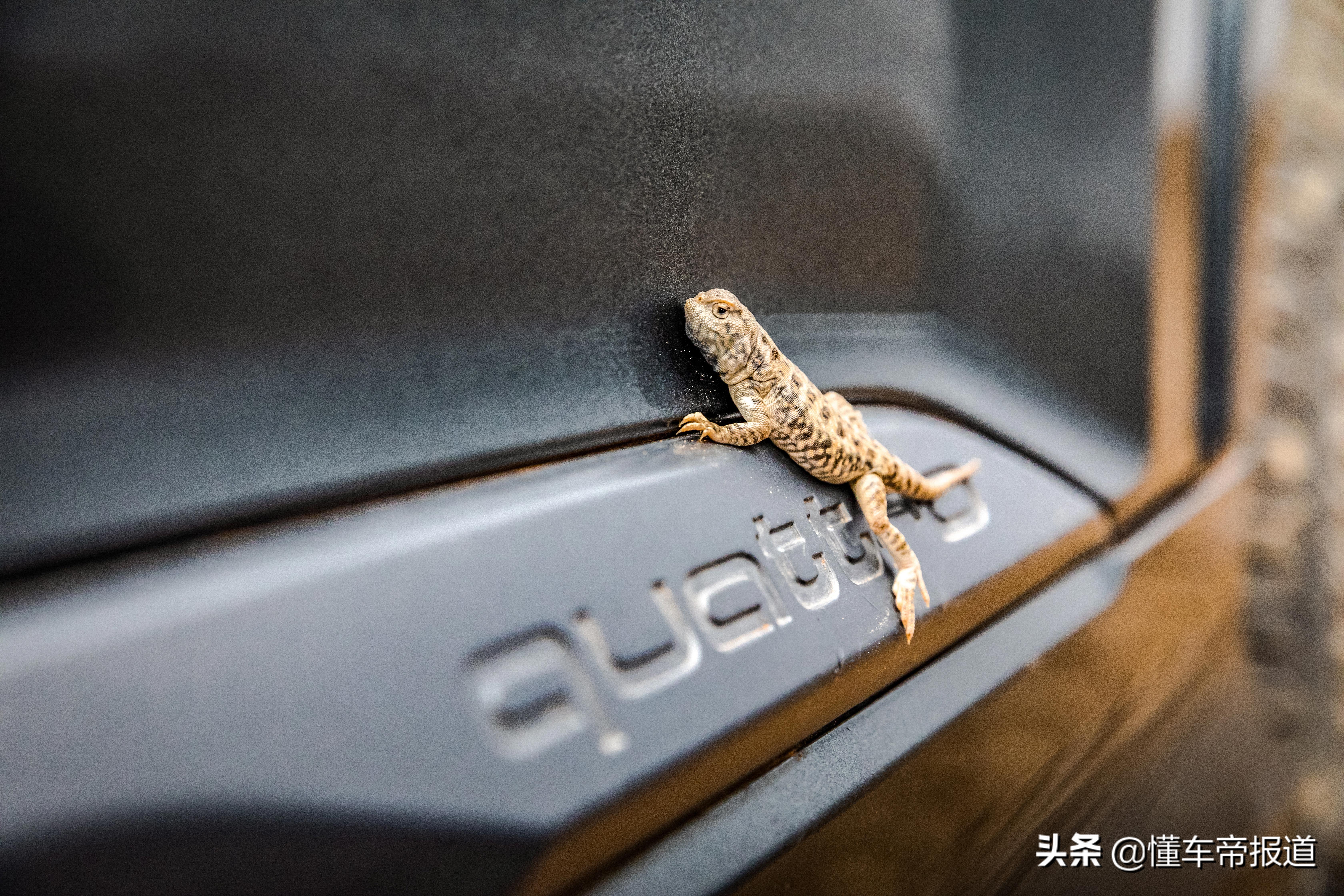 新车 | 越野征途从容应对 试驾奥迪Q7 3.0T尊贵型