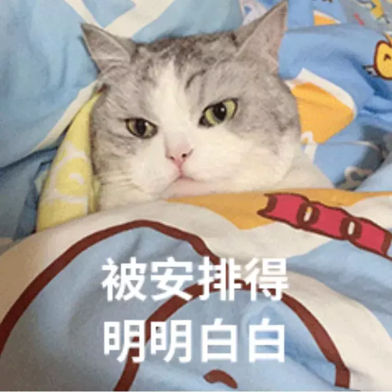 号称“不赚差价”的二手车平台,水深得能养巨齿鲨了