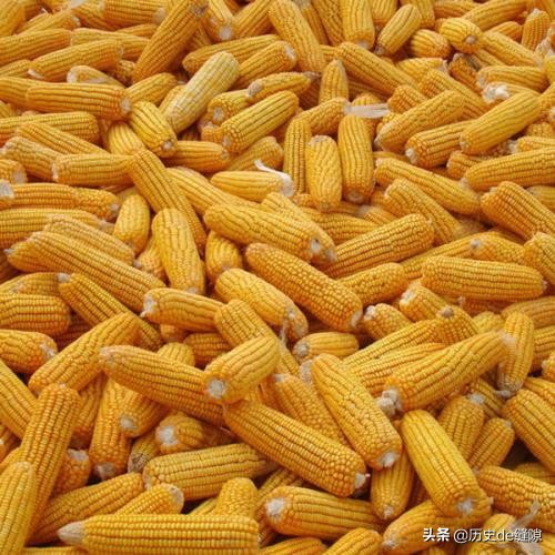 韩国人为什么被称为“棒子”？扒一扒韩国人的“黑历史”