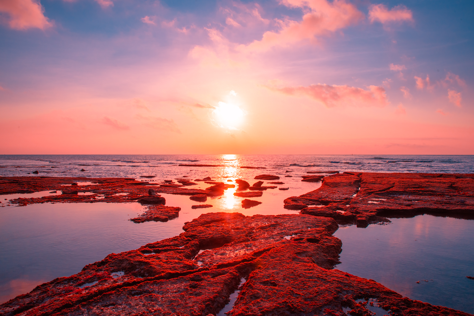 红薯粉泡多久才泡软(红薯粉的最佳泡发时长)-易创项目