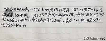 三年级第一单元要考试了，语文园地集合的知识点，这样学习更高效