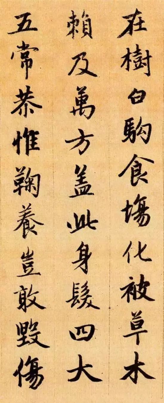 赵孟頫行书《千字文》欣赏