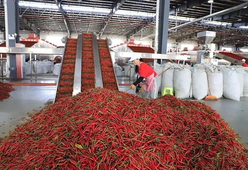 牛牛牛 | 贵州15家获得第七批农业产业化国家重点龙头企业名单公示