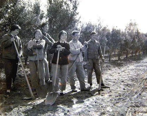 1977：一个搬运工的大学梦