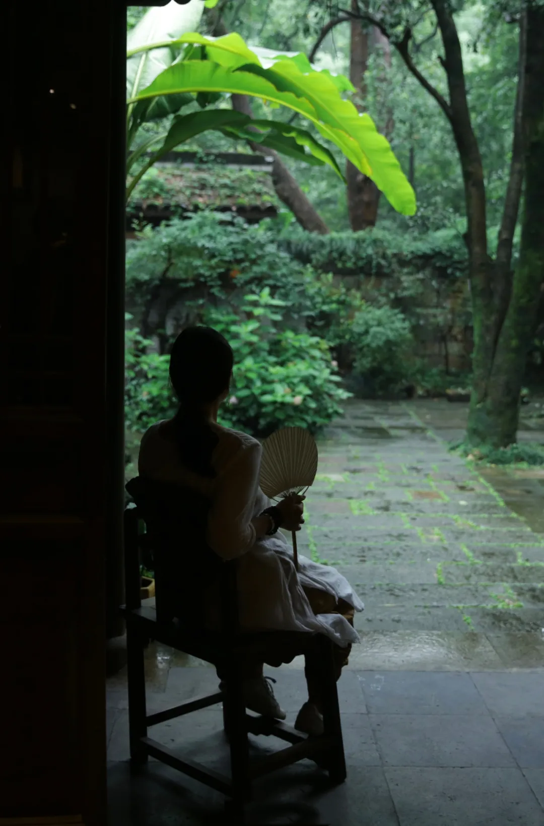 隔窗知夜雨,芭蕉先有聲