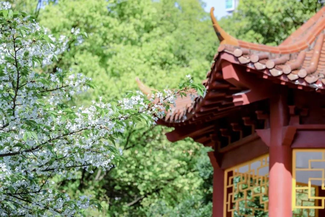 走出蛟龙号设计师、世界五百强总裁，创下多个第一，南华大学超火