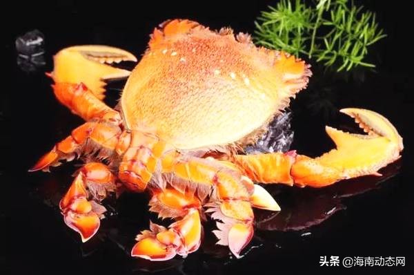 海魚圖片大全,海魚圖片大全及名稱