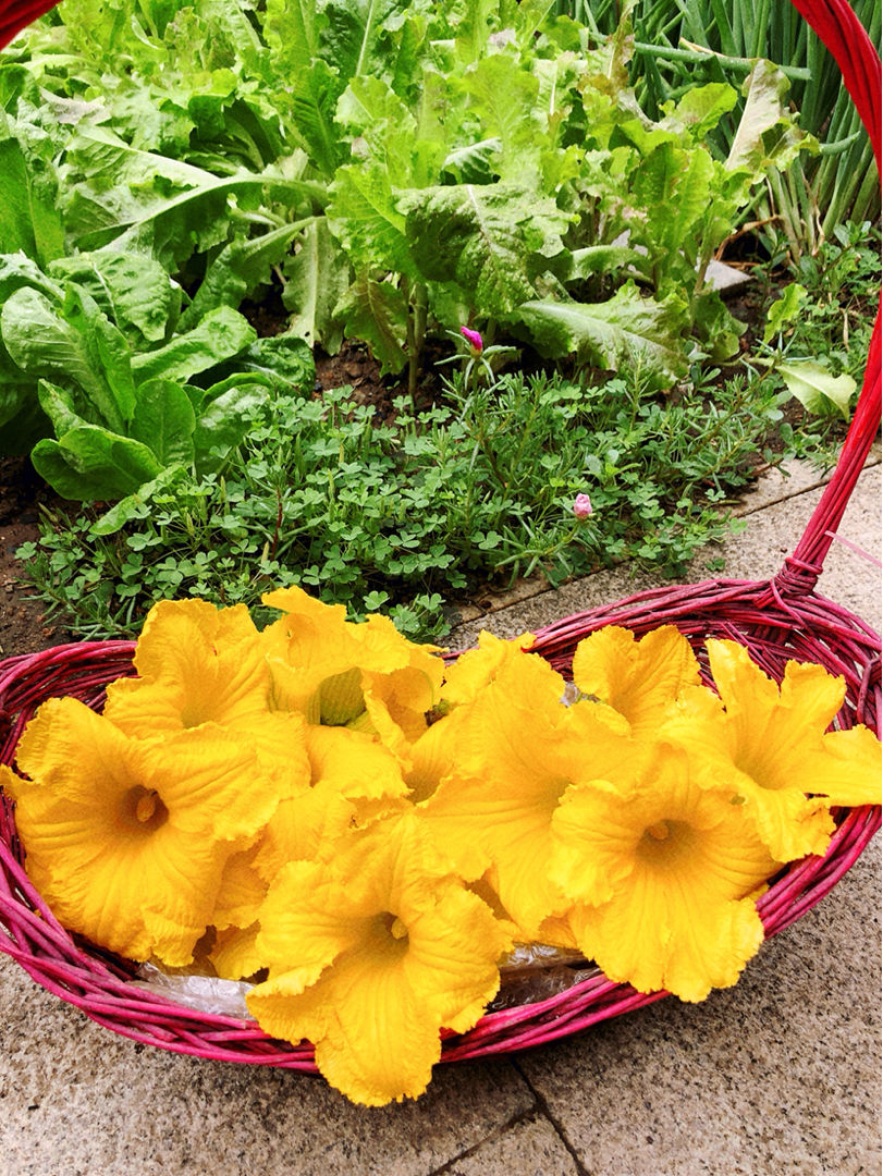 农村常见的花,摘下来还能做菜吃,味道比鸡肉还鲜美
