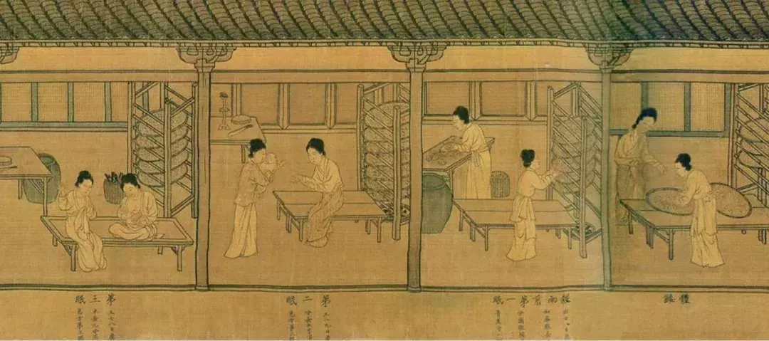 中国人对美女的审美,变了2000年