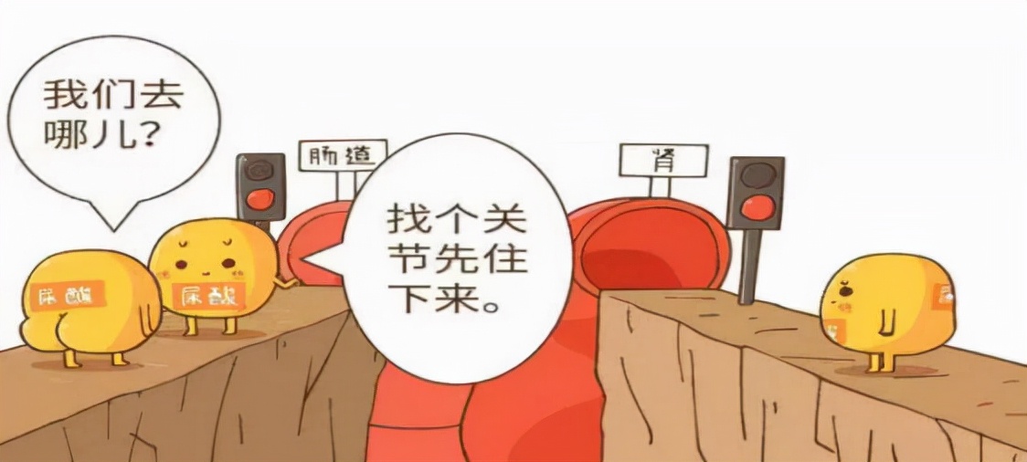 大三小伙尿酸高达640，且出现肾损伤，只因天天在学校做这两件事
