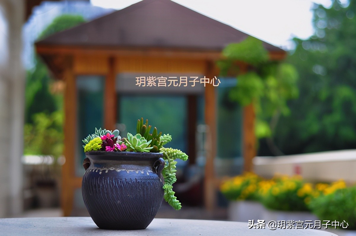 玥紫宮元月子中心丨高端，是把坐月子過成度假