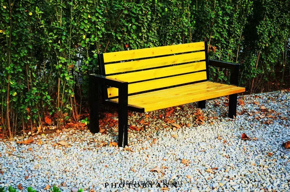 被认为是“保底学校”的四所一本高校，实力并不弱