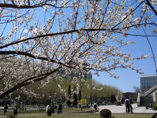 哈尔滨工业大学2016-2018黑龙江录取分数