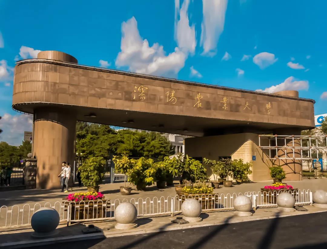 院长带你聊专业丨沈阳农业大学电子信息工程、计算机科学与技术、电气工程及其自动化