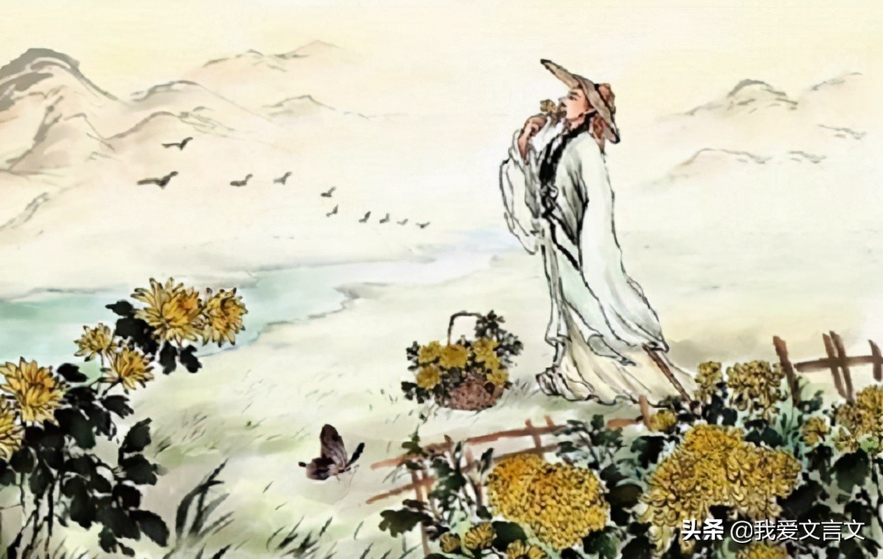 重温经典 | 北宋·周敦颐《爱莲说》