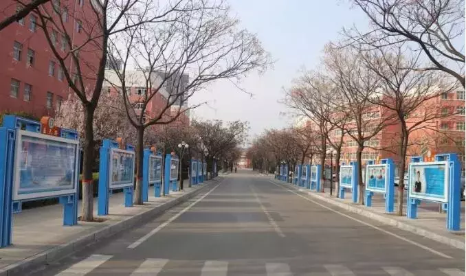 泰安英雄山中学详细介绍！岱岳区、泰山区中考家长一定要看~