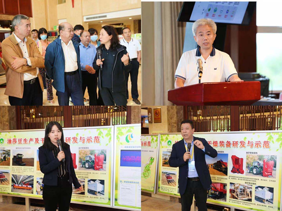 进展良好 成果突出 前景可期——国家重点研发计划项目“大豆及其替代作物产业链科技创新”通过中期检查