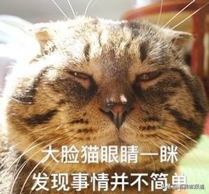 警告！连喝三天宝矿力会变傻，但一天一次就聪明~