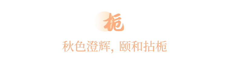 他用香气勾勒出一幅幅中国绝色风景，清幽、内敛、风雅