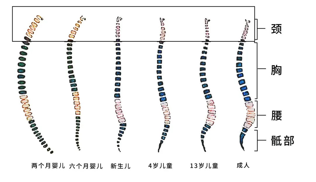 宝宝睡觉的时候到底要不要枕头？