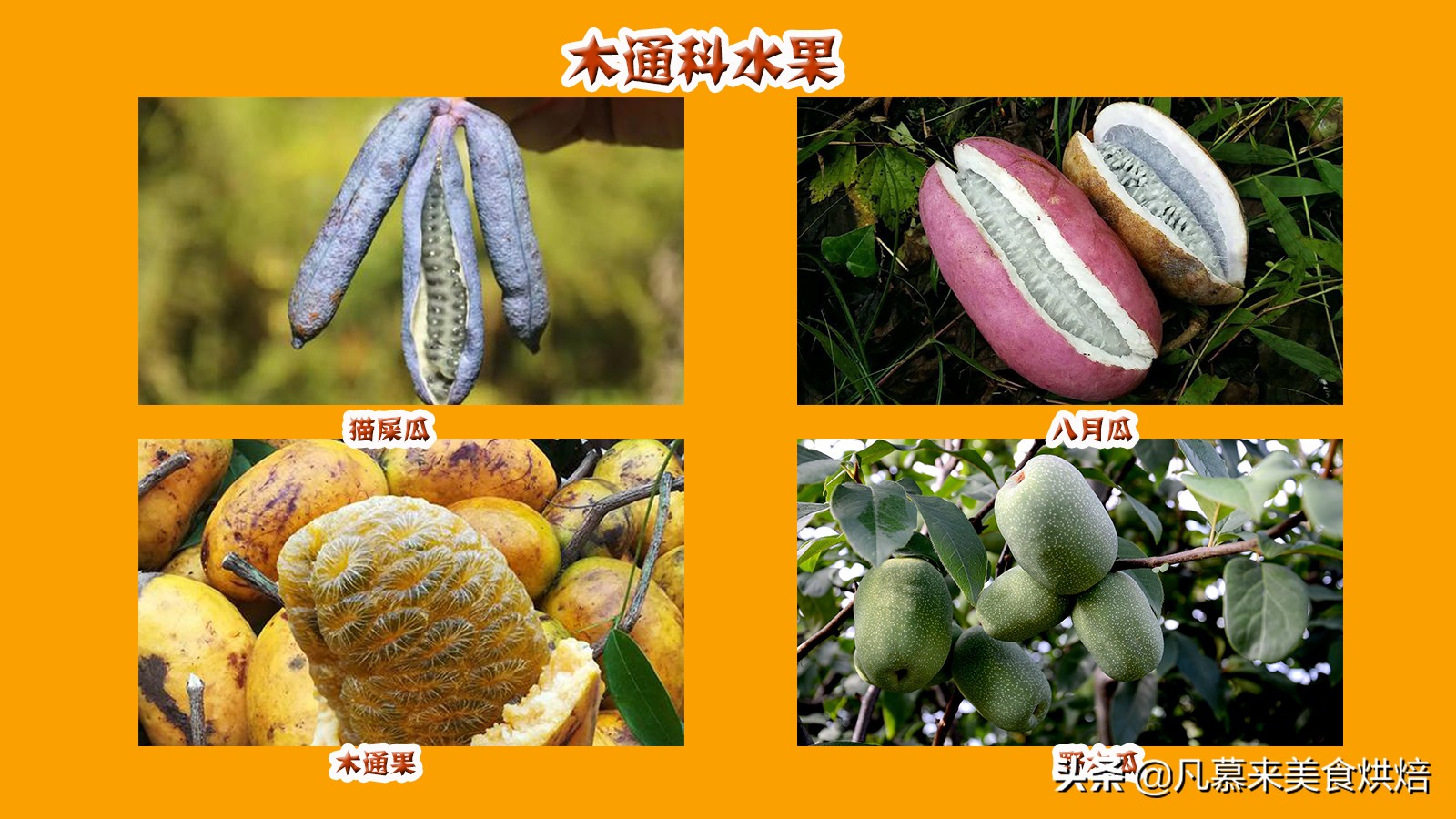 夏季美白淡斑！试试这些富含维生素C的水果！黄金城新网站(图1)