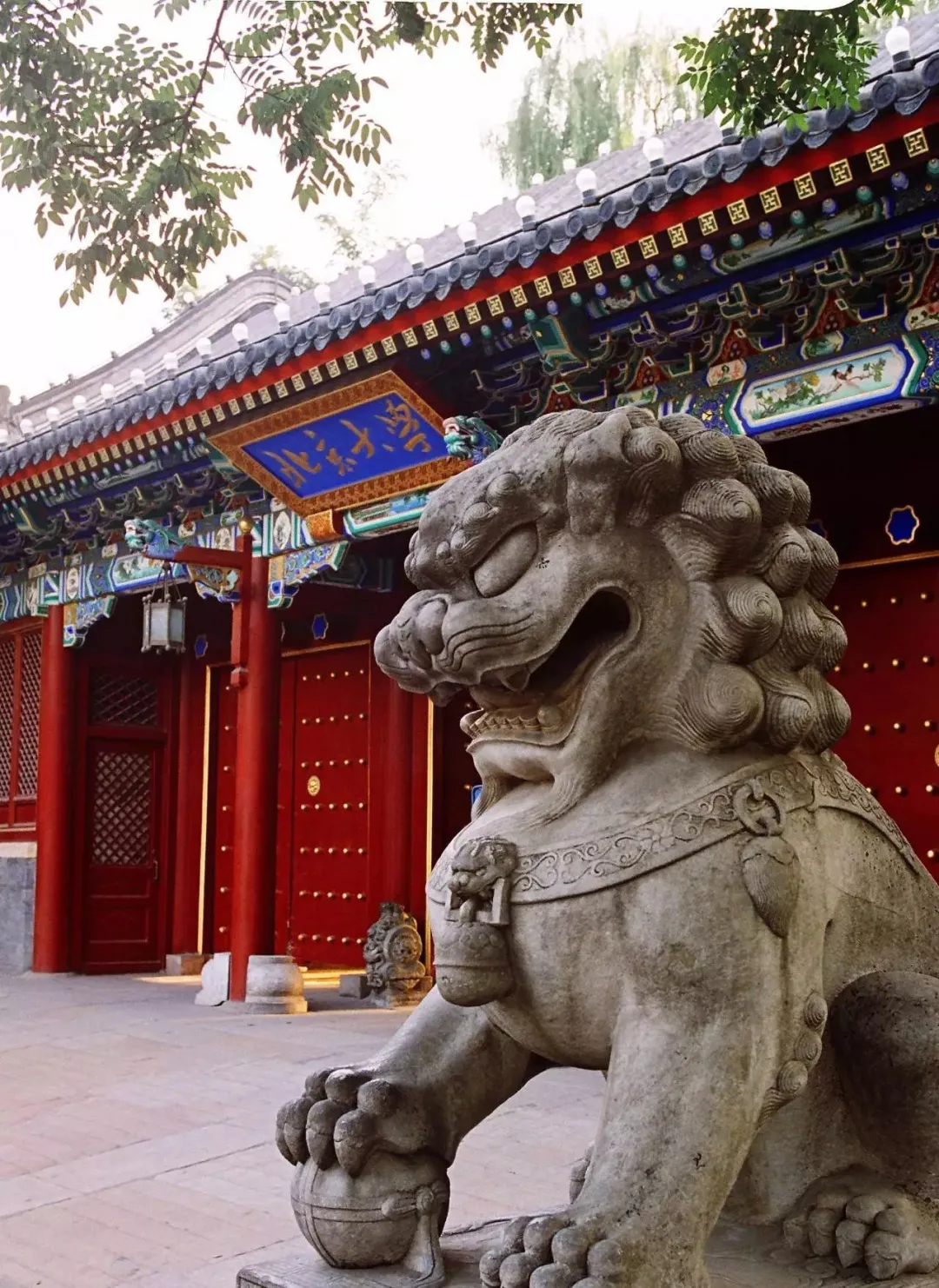 北京大学医学部近3年硕士研究生招生复试基本分数线