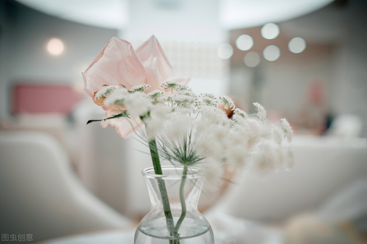 中国政法大学罗翔（罗翔老师的15句经典名言）