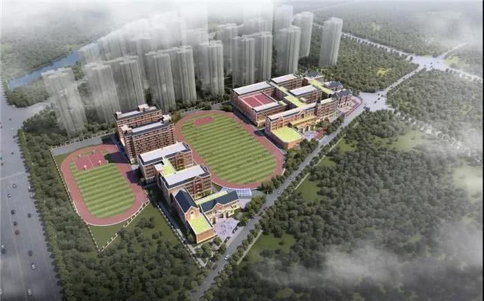 硬核消息：龙岗新区“哈啰礼徳学校”一年学费相当于房子首付