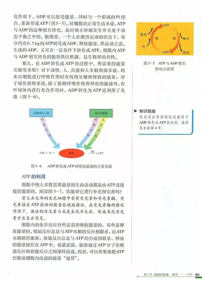 人教版高中生物（必修1）电子课本（高清版）