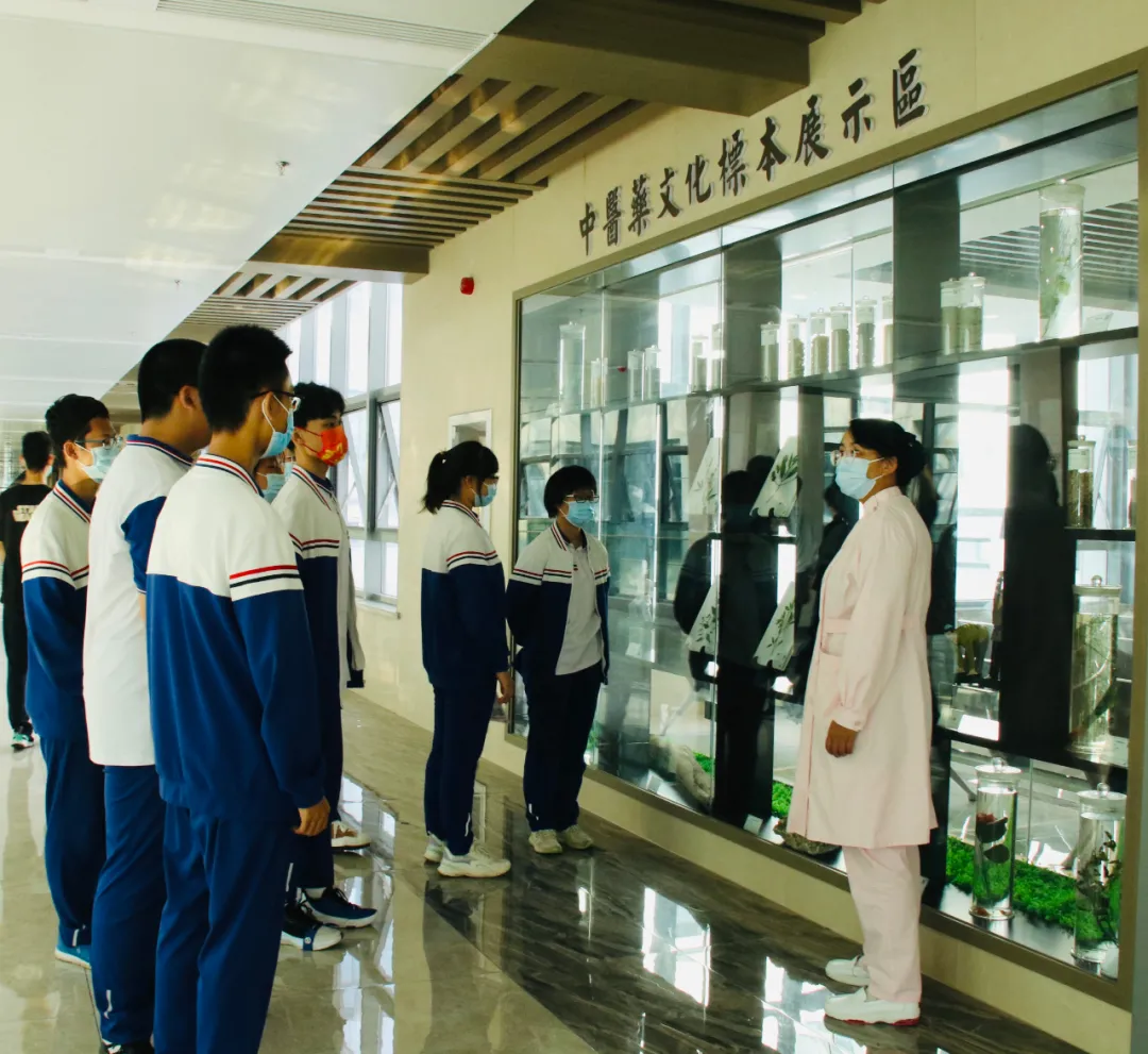 市实验学校高二学生到淄博市中医医院东院区体验中医药文化