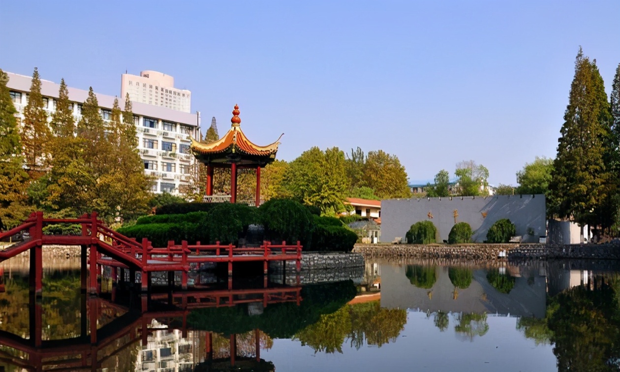 南京某高校食堂WIFI密码火了，学生看完摇头，感叹该认真听课