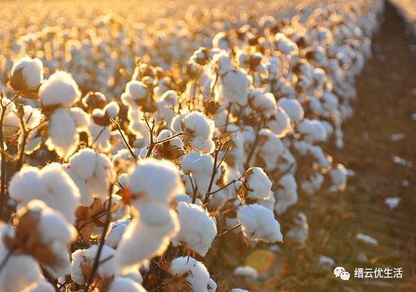 壶镇第一家工厂：溪头街中兴麻袋厂，开启壶镇工业重镇的不凡之路