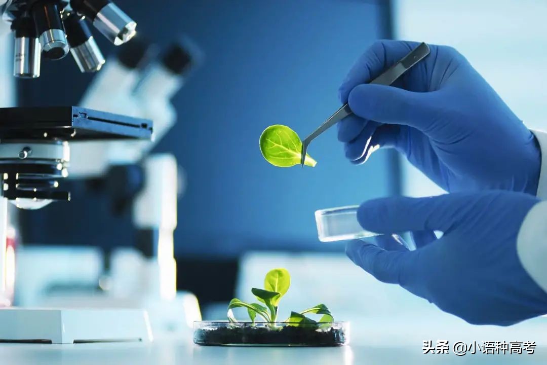 十大Alevel课程组合，G5名校申请更容易