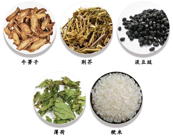荆芥,去除感冒发热 袪风发汗 透疹止血的能手