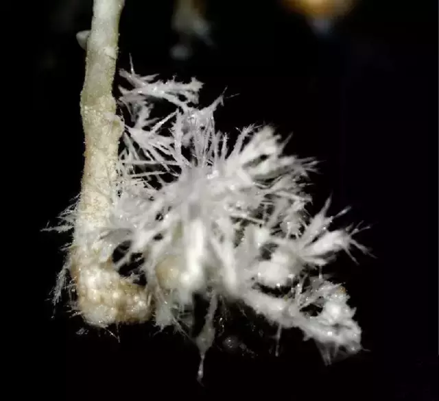 重庆的地下，藏着数万个宏伟的地宫！可惜知道的人不多！