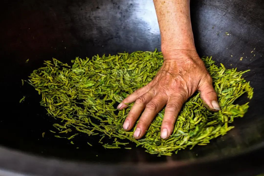 六大茶类,为何独独"黄茶"很少被提起?