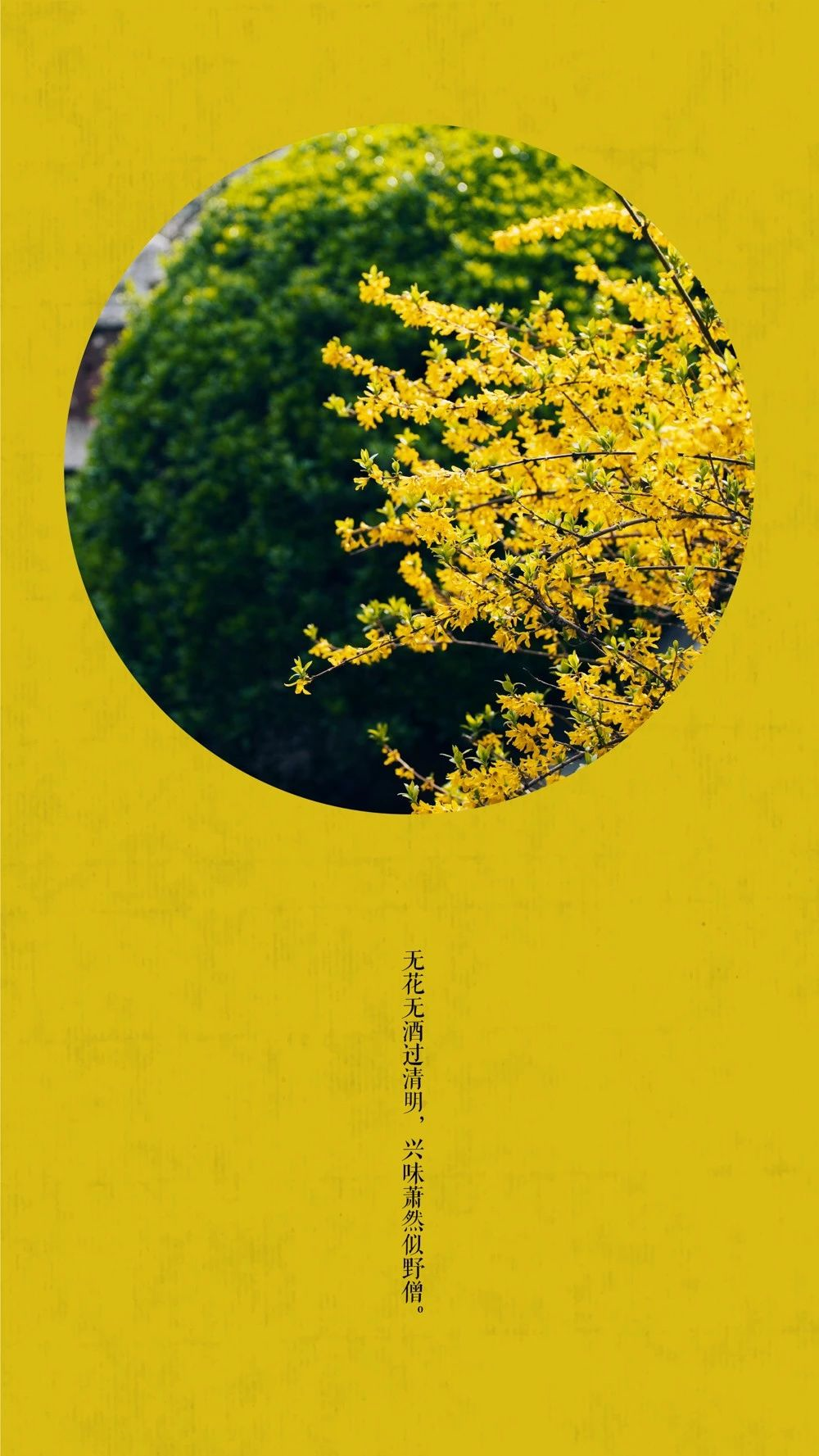 中国这10所大学壁纸第二期！厦门大学、中山大学等在列