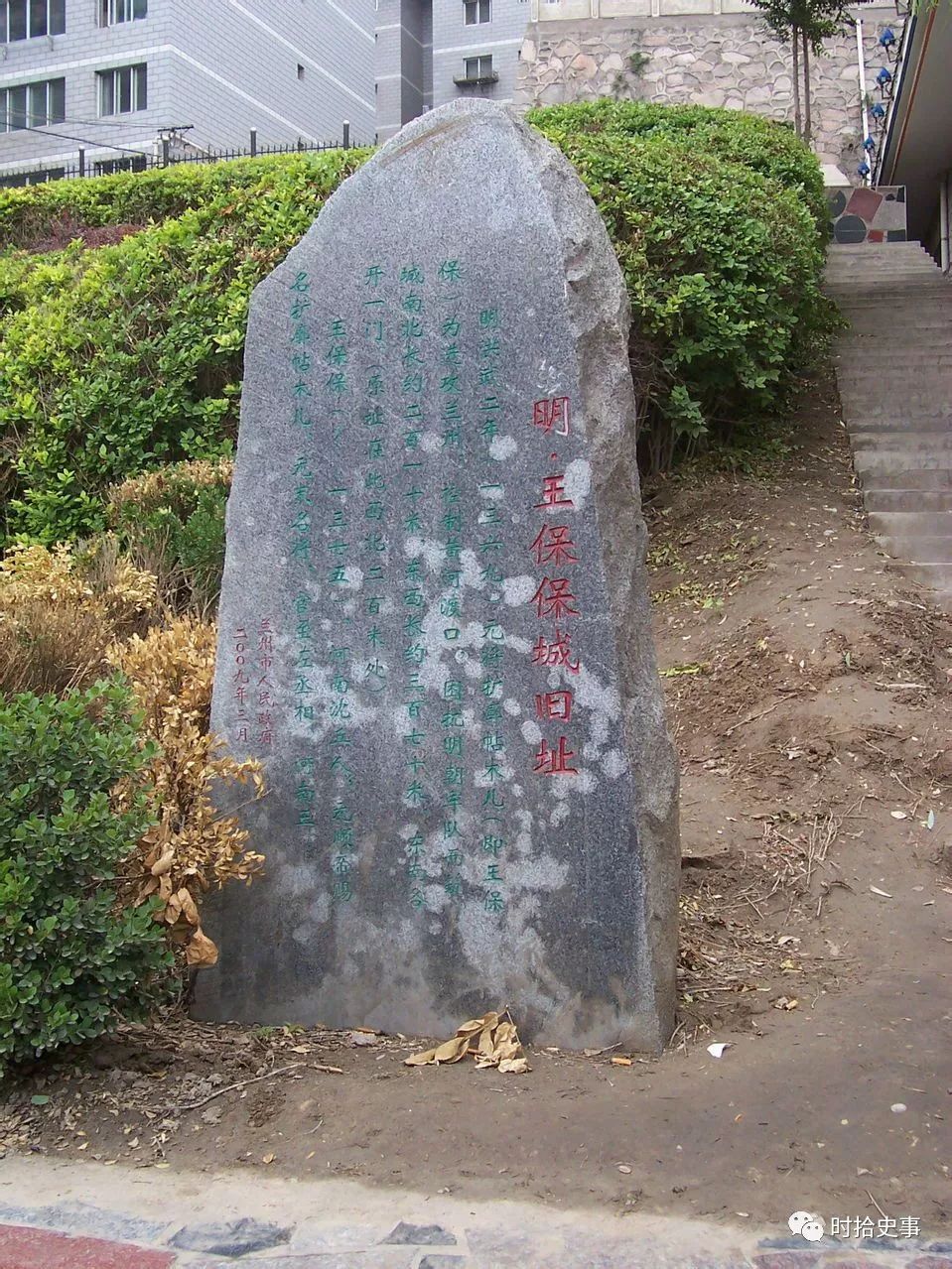 这个“保保”有点猛