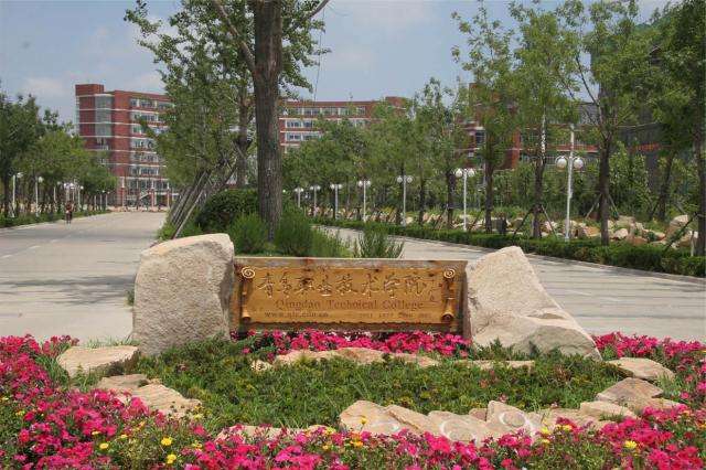 山东最好的专科学校，就业好，工资高，不逊于普通本科院校