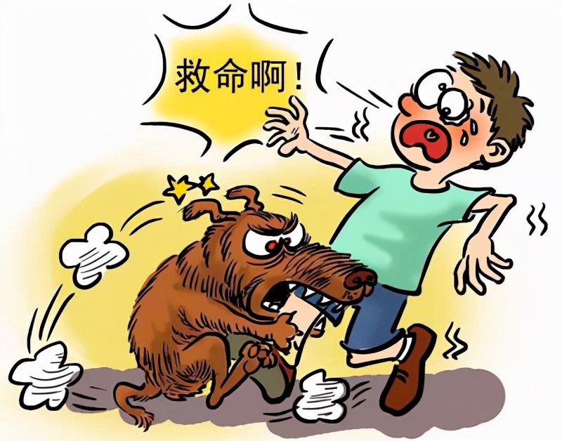 狗咬驴，驴受惊踢坏奥迪车，谁担责？