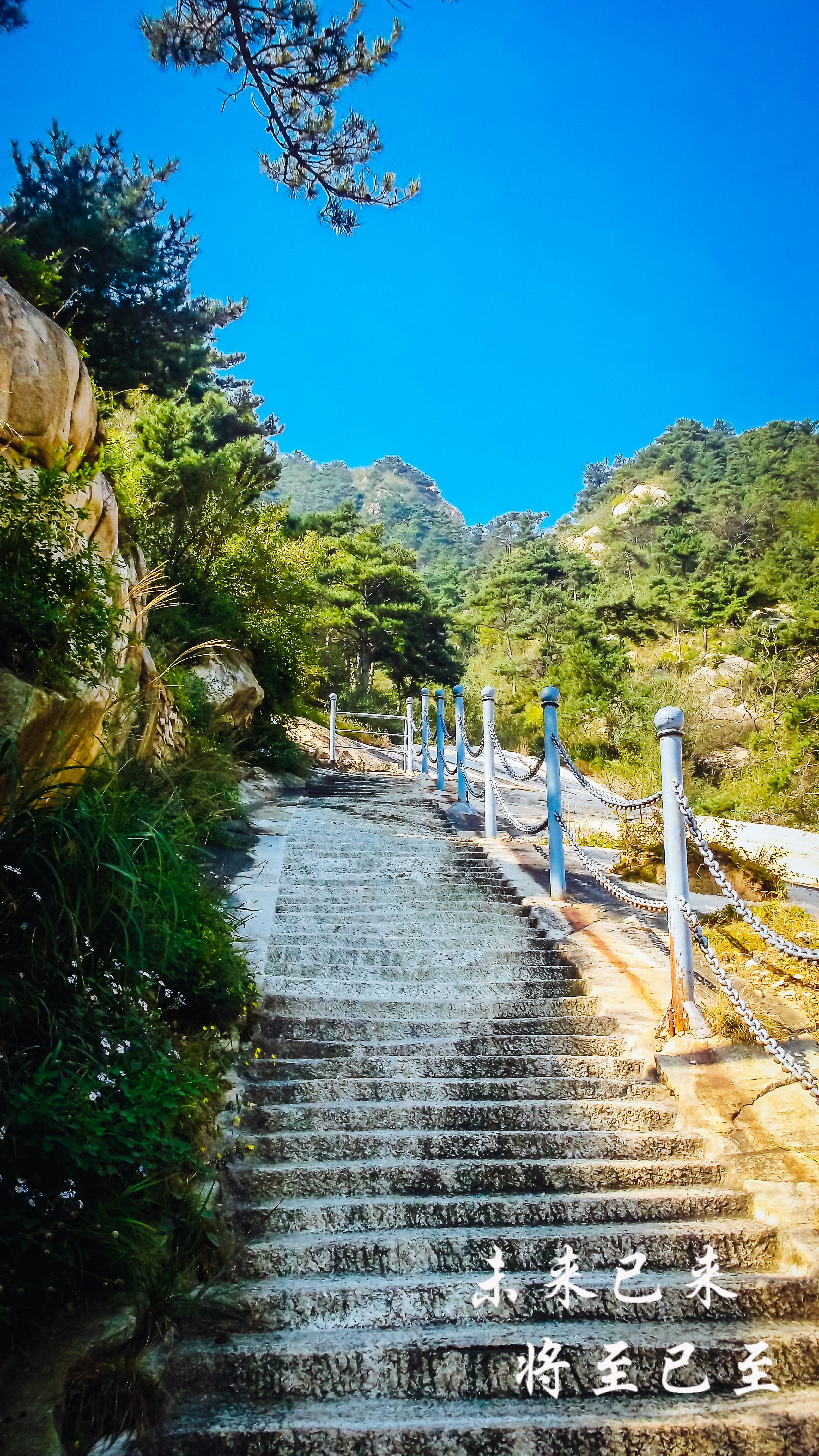 「未来影像」泰山龙脊观景赏松,秦始皇登山路线美景(4)