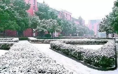 沪上最美10所公办&10所民办小学大PK，谁是魔都颜值担当？