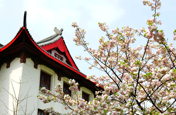 值得庆祝！607分喜提四川大学，四川2021提前批投档线火热出炉