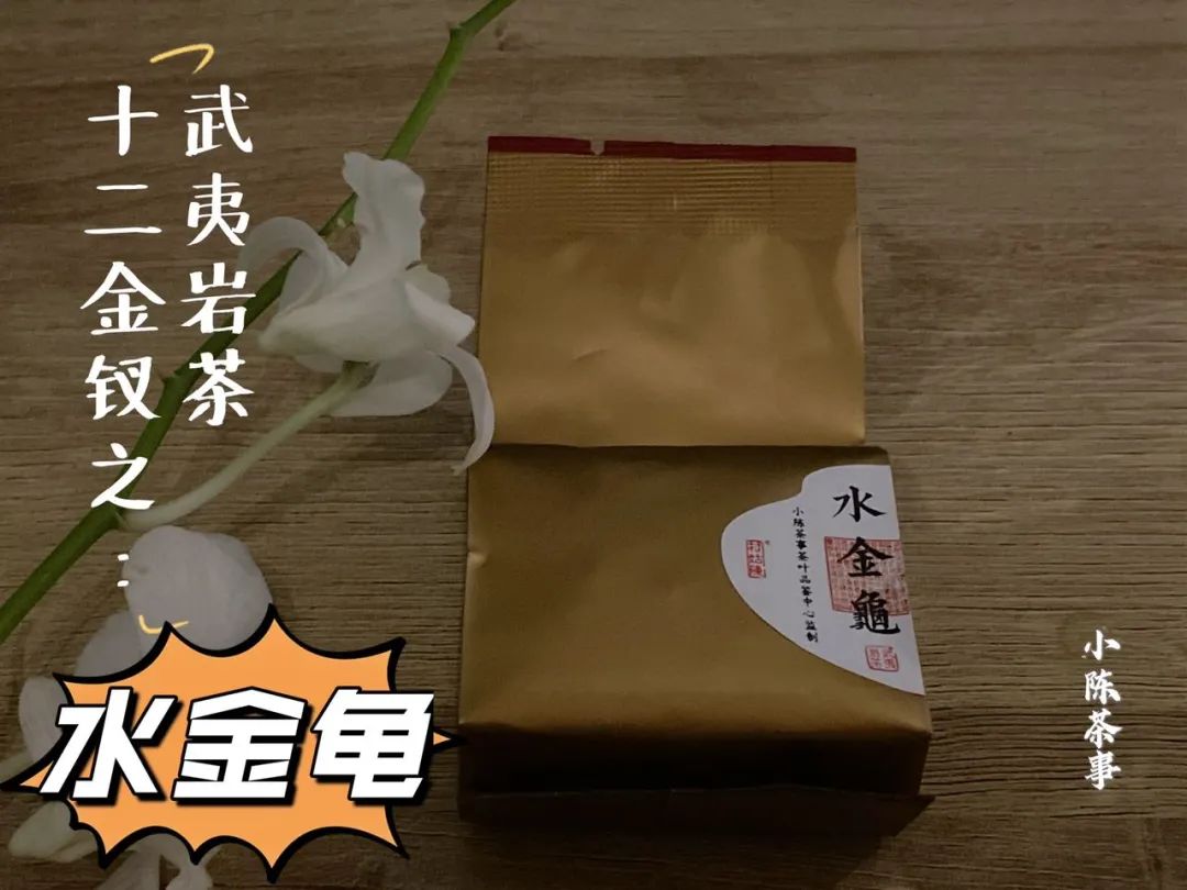 武夷岩茶十二金钗，这一次，我们准备了哪些好茶等着你？