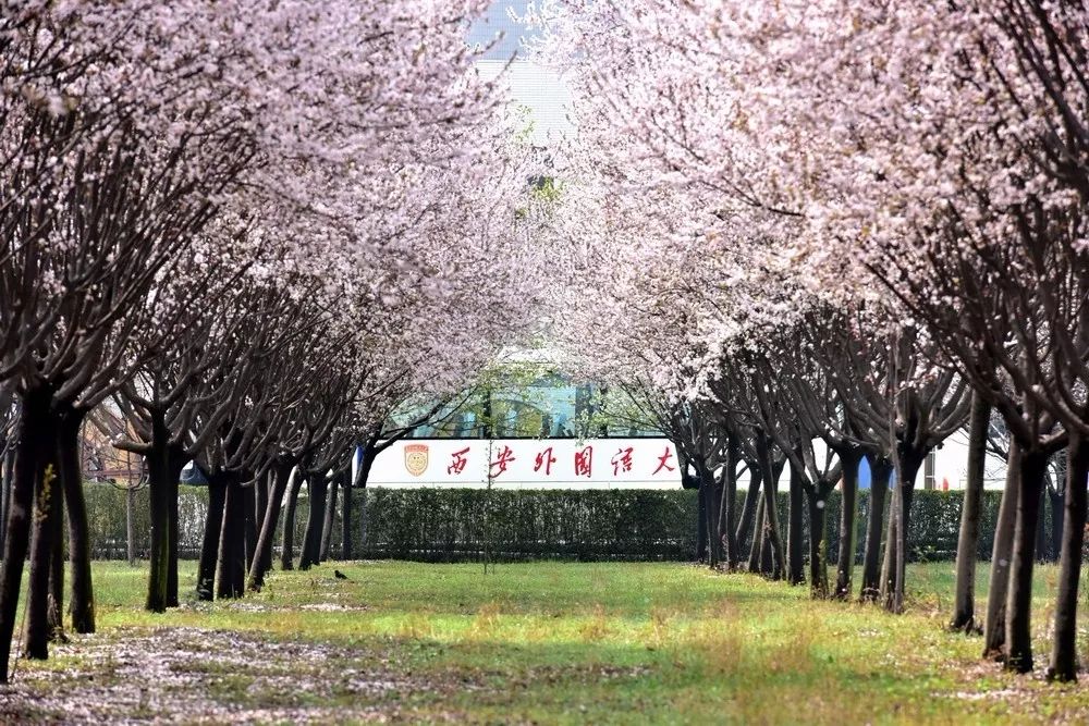 西安外国语大学，是由什么做成的？